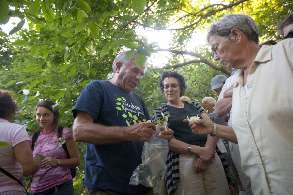 Need Garden Inspiration? Check Out Arboretum’s Free Events