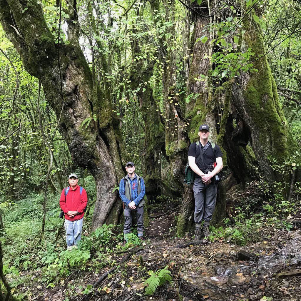 Four Arboretum Explorers