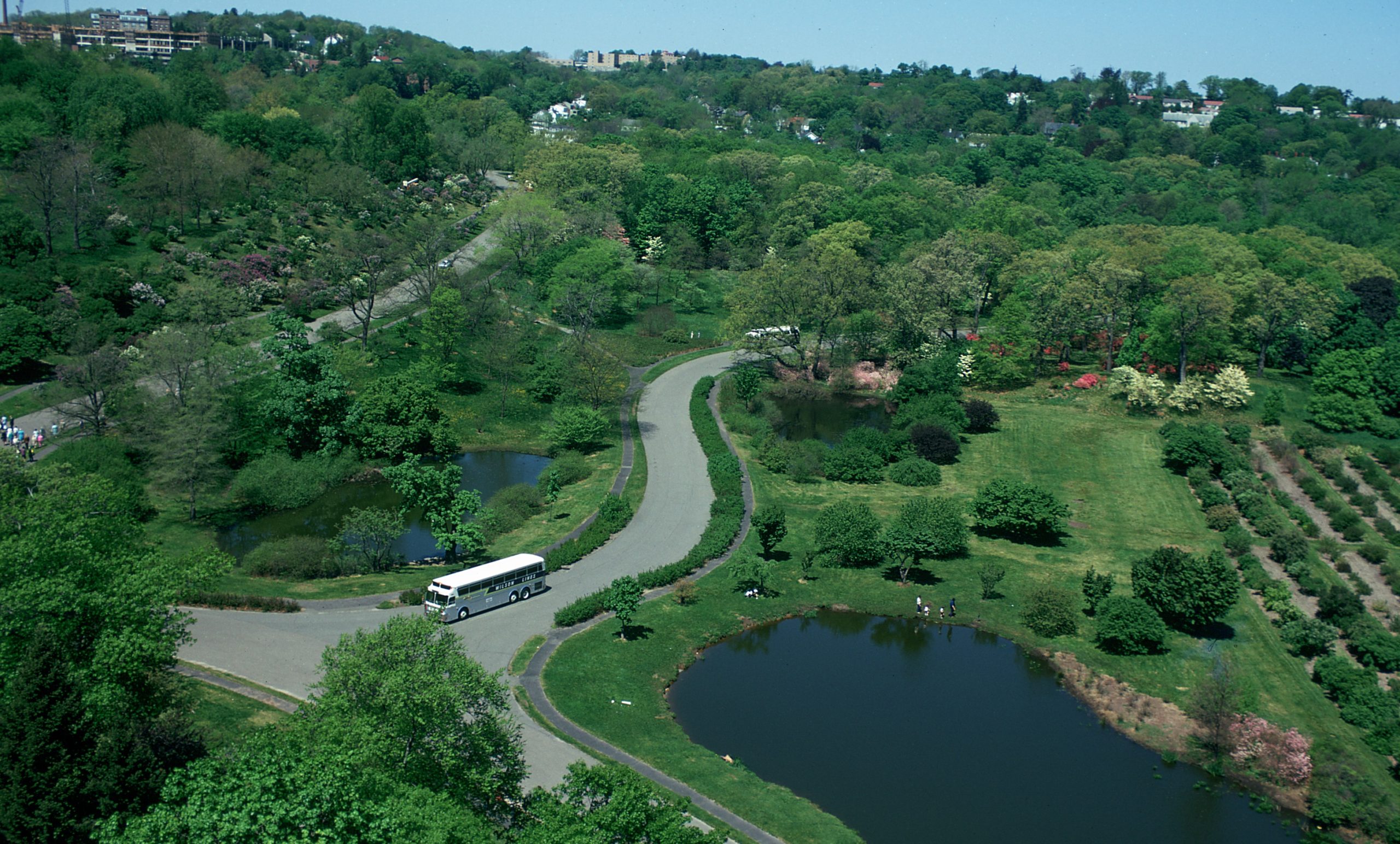 The Three Ponds of the Arboretum