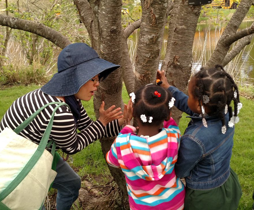Volunteer observing a tree with two children during field study programs.