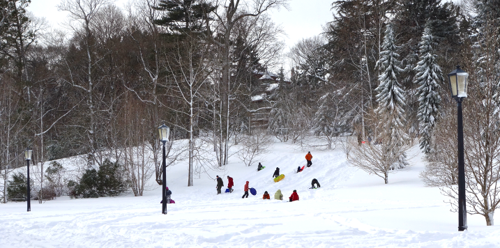 Olmsted and the Arnold Arboretum