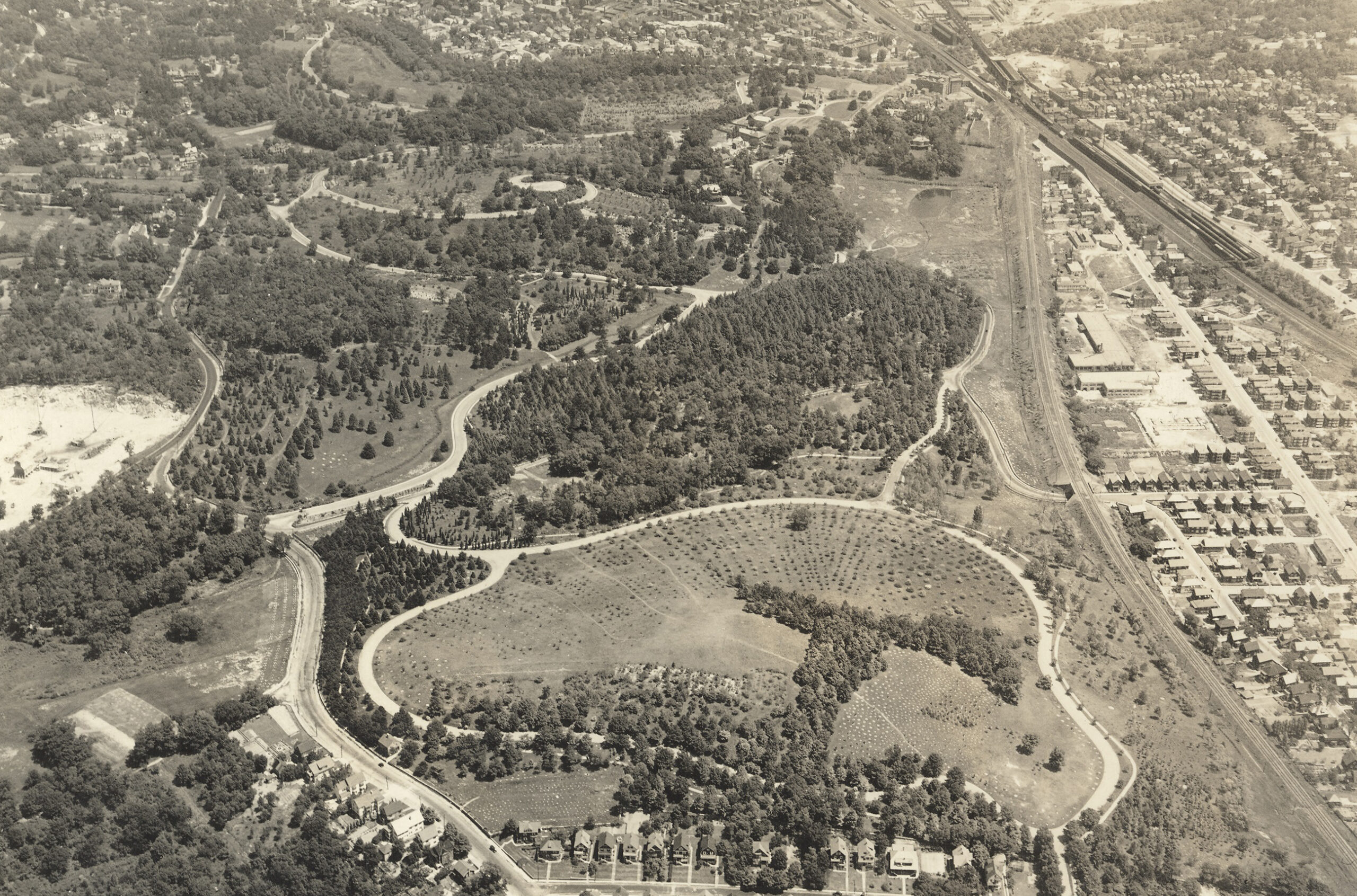 The Arnold Arboretum from the Air