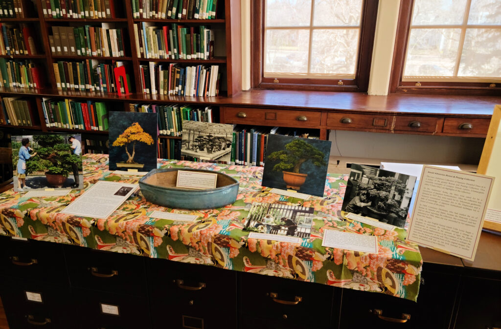 An exhibit of archival materials having to do with the Larz Anderson Bonsai Collection.