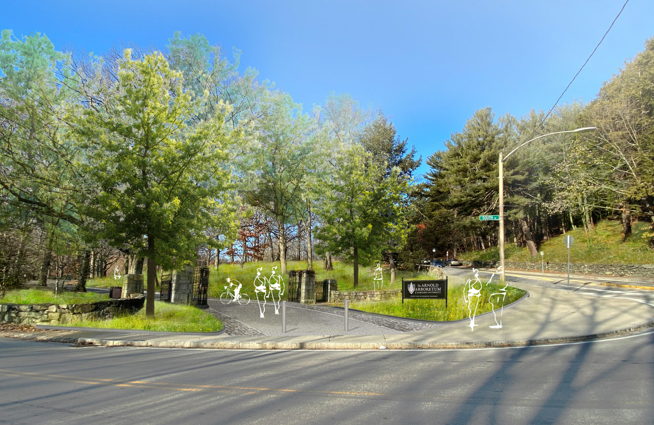 With New Renovations, Arnold Arboretum Looks to Open Gates and Build Bridges