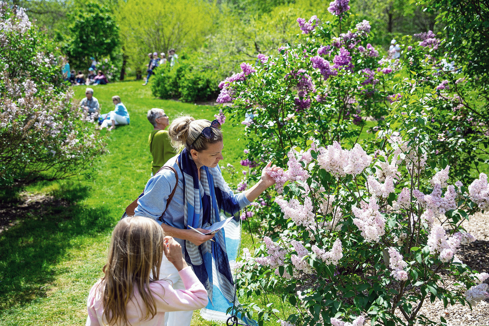 Welcome Spring at the Arboretum on Lilac Sunday