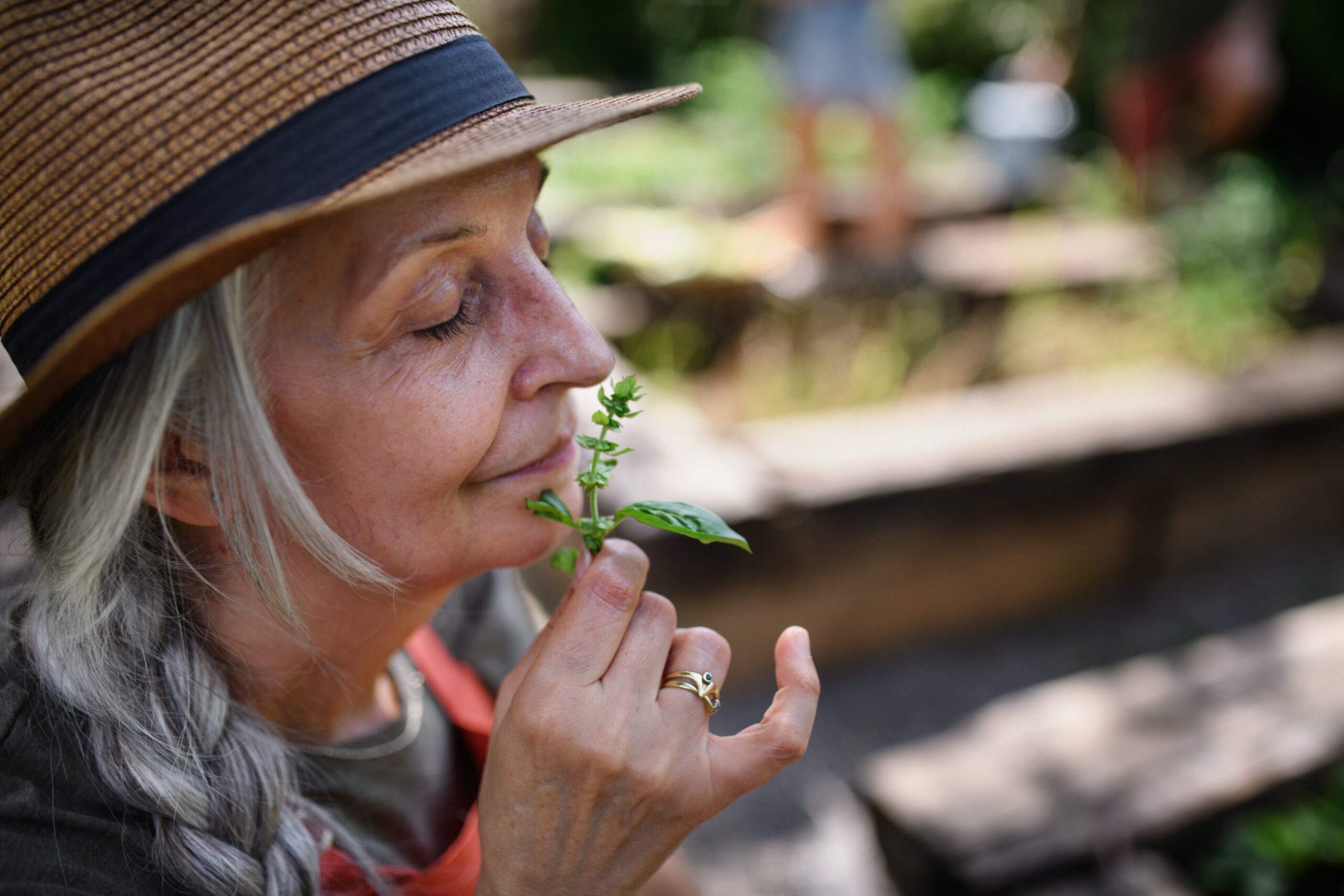 Scratch ‘n’ Sniff: A Tour of Arboretum Aromas